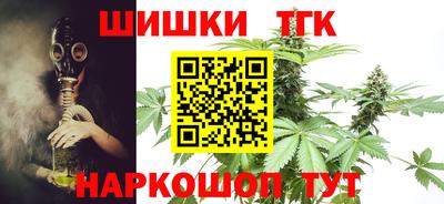 индика Беслан