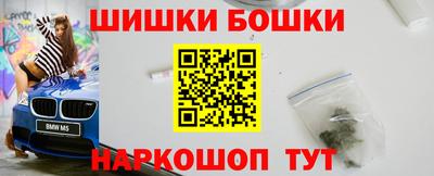 jwh Бийск