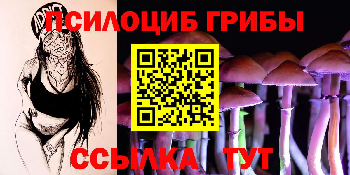 Вязьма  Галлюциногенные грибы GOLDEN TEACHER  Вход с VPN  Псилоцибиновые грибы прущие грибы 