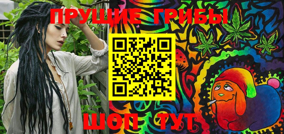 Галлюциногенные грибы Psilocybine cubensis  Галлюциногенные грибы прущие грибы  Вязьма 