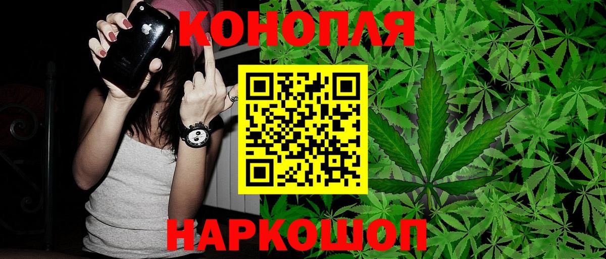 Каннабис план Вязьма